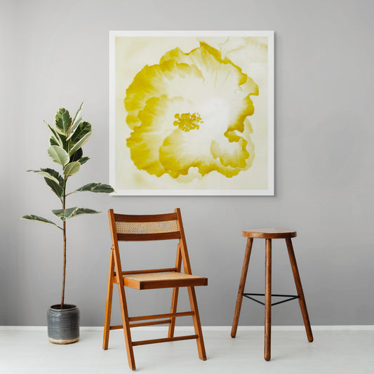 POP Art Collection Flowers - Hibiscus 2076v101d - Room View, vibrant hibiscus flower fine art print with warm yellow petals in soft stylised form, limited edition by Raymond Mather, ART1.