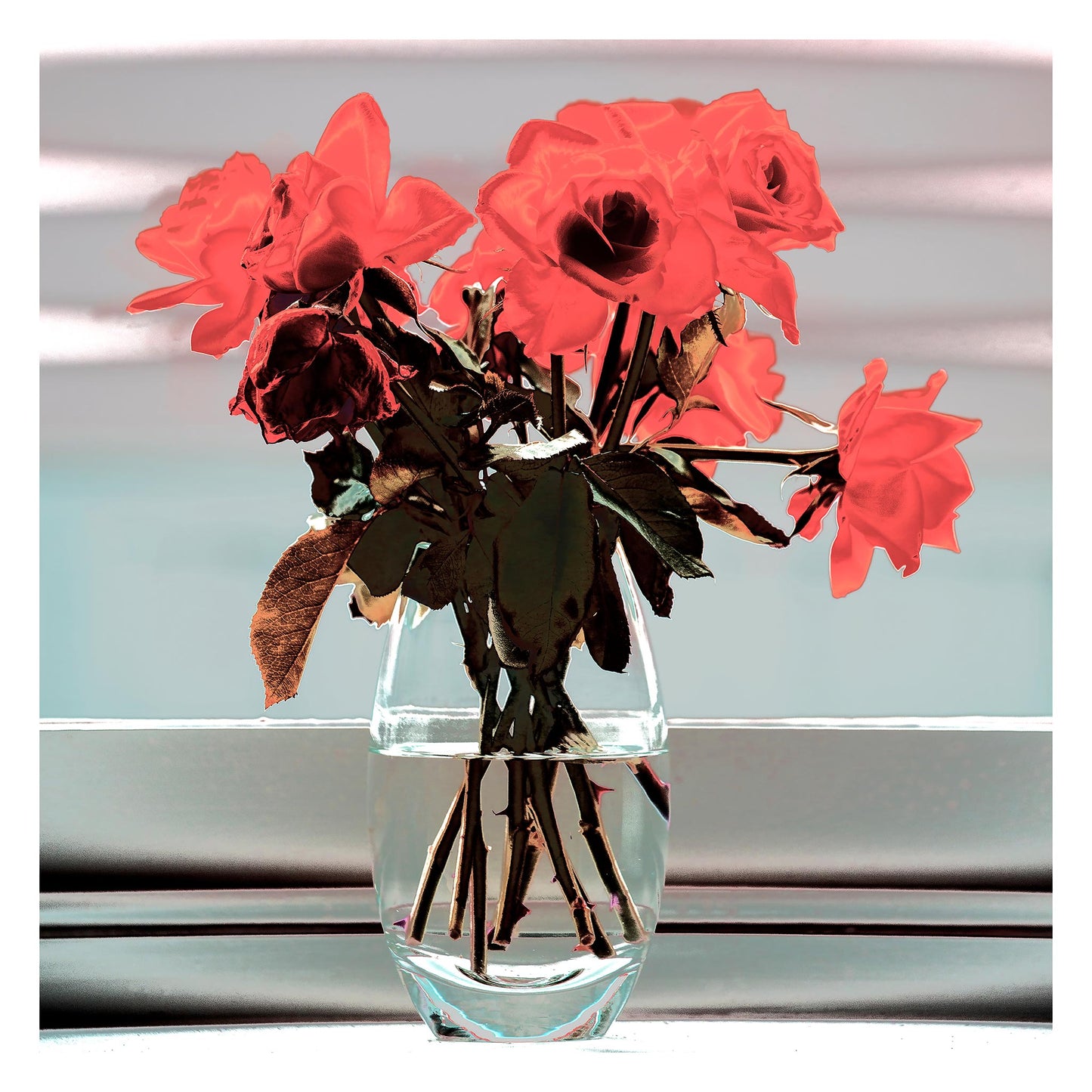 POP Art Collection Flowers - Roses Vase Still Life 20631 - 104x104cm, vibrant roses still life fine art print with bold red and pink flowers in a vase, limited edition by Raymond Mather, ART1.