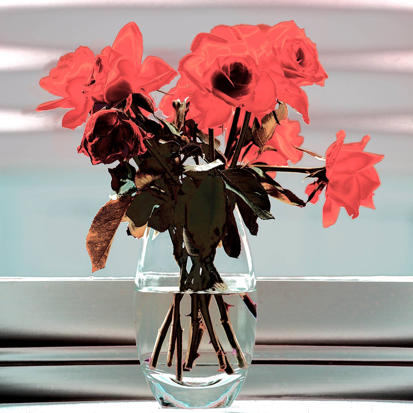 POP Art Collection Flowers - Roses Vase Still Life 20631 - 90x90cm, vibrant roses still life fine art print with bold red and pink flowers in a vase, limited edition by Raymond Mather, ART1.