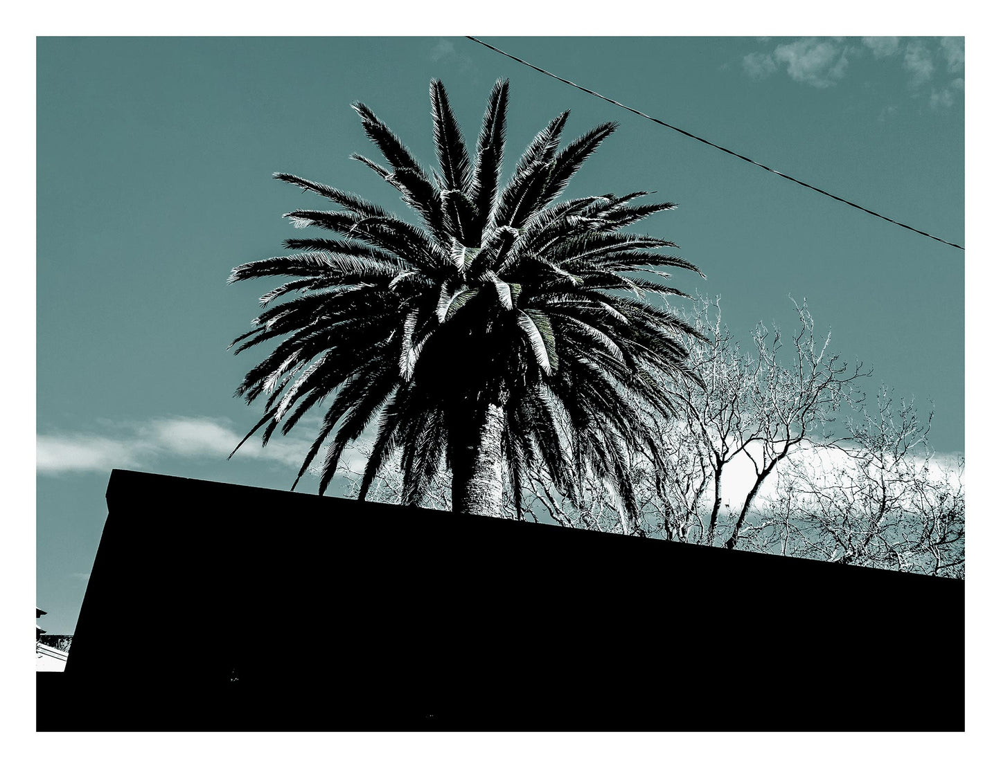 POPscape Sydney - Centennial Park - Palms Street - 9292v14 - 104x81.5cm, Stylised image of a palm tree silhouetted above a slanted suburban rooftop, set against a soft turquoise sky with minimal detail and a graphic composition.