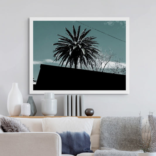 POPscape Sydney - Centennial Park - Palms Street - 9292v14 - Room View, Stylised image of a palm tree silhouetted above a slanted suburban rooftop, set against a soft turquoise sky with minimal detail and a graphic composition.