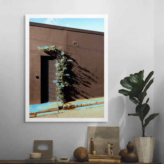 POPscape Sydney - Centennial Park - Vine Shadow - 9295v51 - Room View, Stylised Pop Art image of a flowering vine growing against a dark wall on a quiet Sydney street. Blue blossoms and painted curb pop against rich shadows and warm textures.