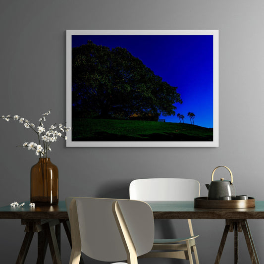 POPscape Sydney - Centennial Parklands - Palms Rangers Residence - 8655v13 - Room View, Stylised Pop Art image of a large fig tree silhouetted against a deep blue sky in Centennial Parklands. Palm trees and a distant building sit beneath a wide canopy.