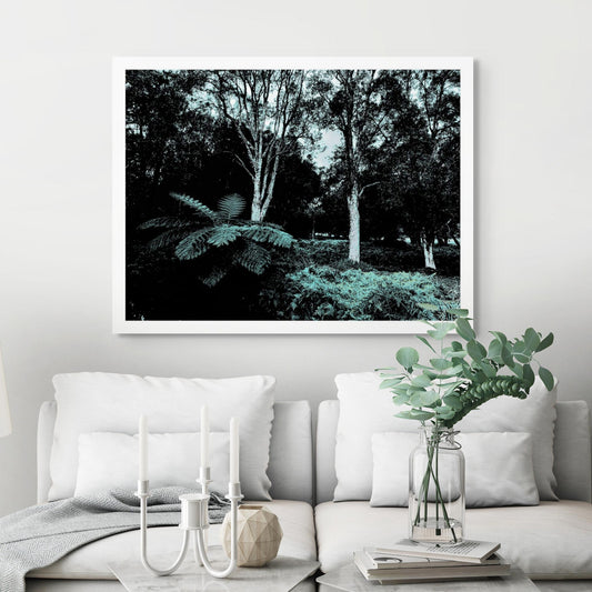 POPscape Sydney - Centennial Parklands - Tree Fern - 9762v3 - Room View, Stylised image of a large tree fern under tall native trees in Centennial Parklands, Sydney. Cool-toned duotone treatment in teal and black with moody contrast.