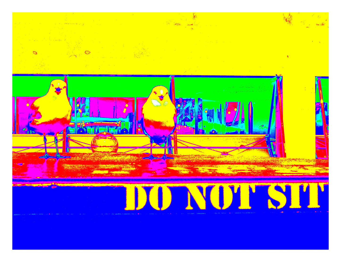 POPscape Sydney - Circular Quay - Seagull Ferry - 3660v4 - 104x81.5cm, Stylised Pop Art image of two seagulls perched on a ferry bench with a “DO NOT SIT” sign. Neon yellow, pink, and blue tones create a playful urban contrast.