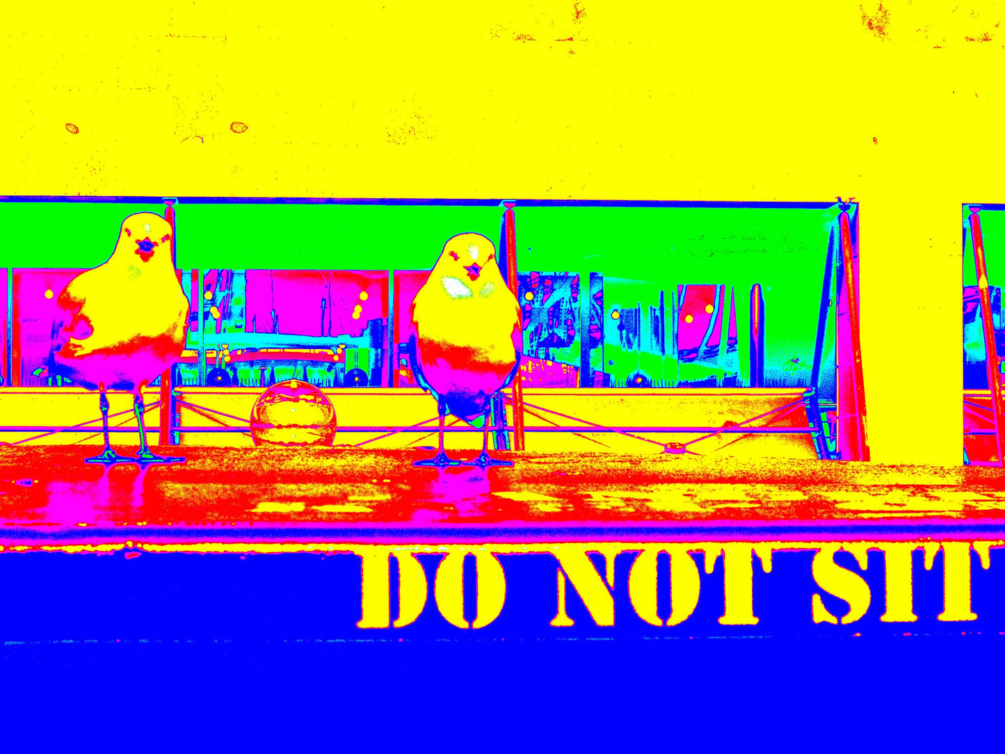 POPscape Sydney - Circular Quay - Seagull Ferry - 3660v4 - 90x67.5cm, Stylised Pop Art image of two seagulls perched on a ferry bench with a “DO NOT SIT” sign. Neon yellow, pink, and blue tones create a playful urban contrast.
