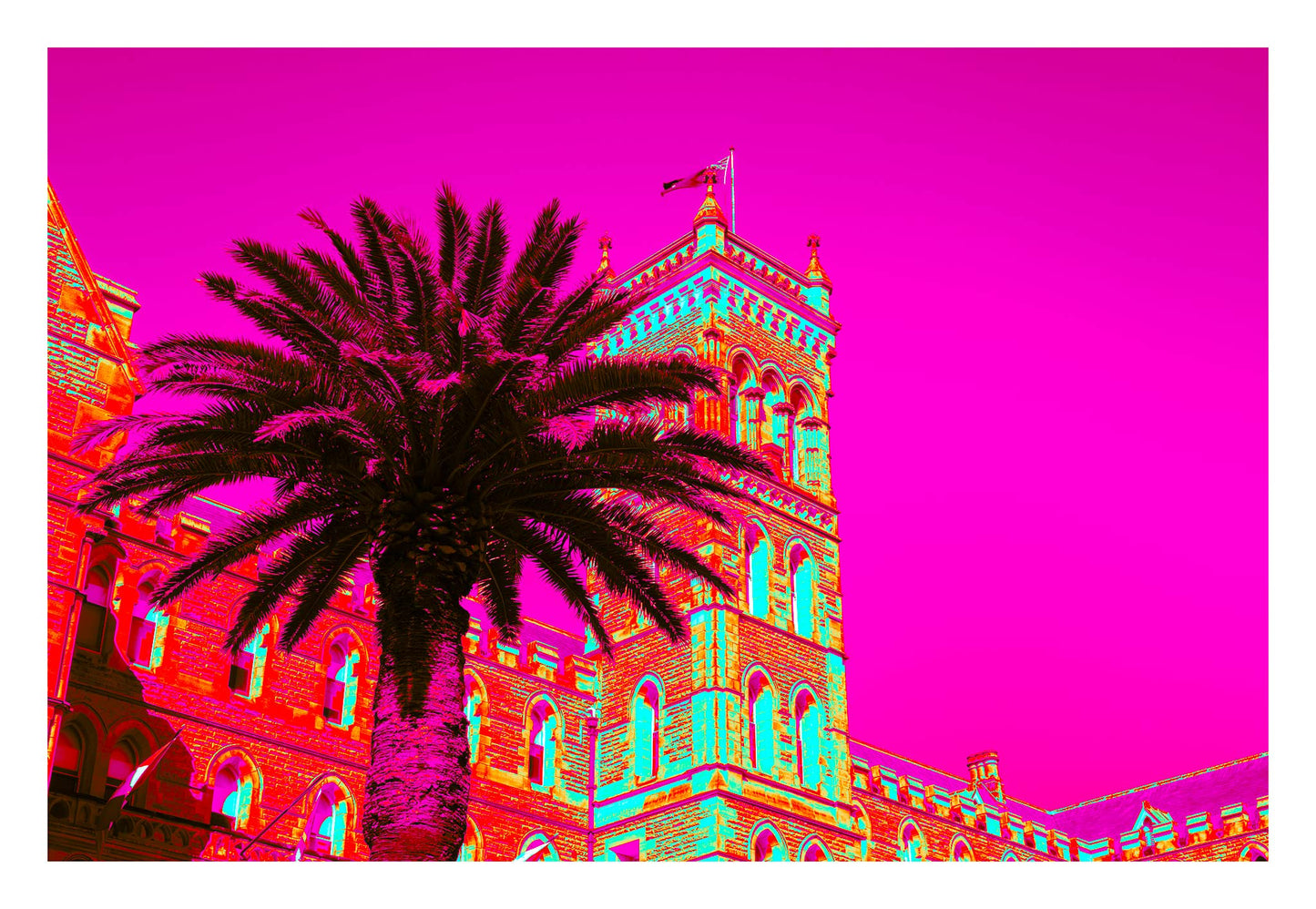 POPscape Sydney - Manly - Castle Palm - 3615v17 - 104x74cm, Stylised image of a large palm tree in front of a historic stone building in Manly, Sydney. The scene is bathed in vivid neon colours with a magenta sky, evoking a Pop Art fantasy.