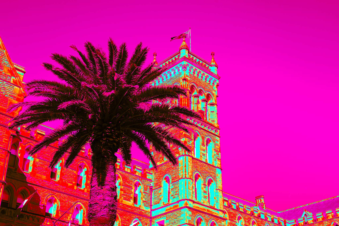 POPscape Sydney - Manly - Castle Palm - 3615v17 - 90x60cm, Stylised image of a large palm tree in front of a historic stone building in Manly, Sydney. The scene is bathed in vivid neon colours with a magenta sky, evoking a Pop Art fantasy.