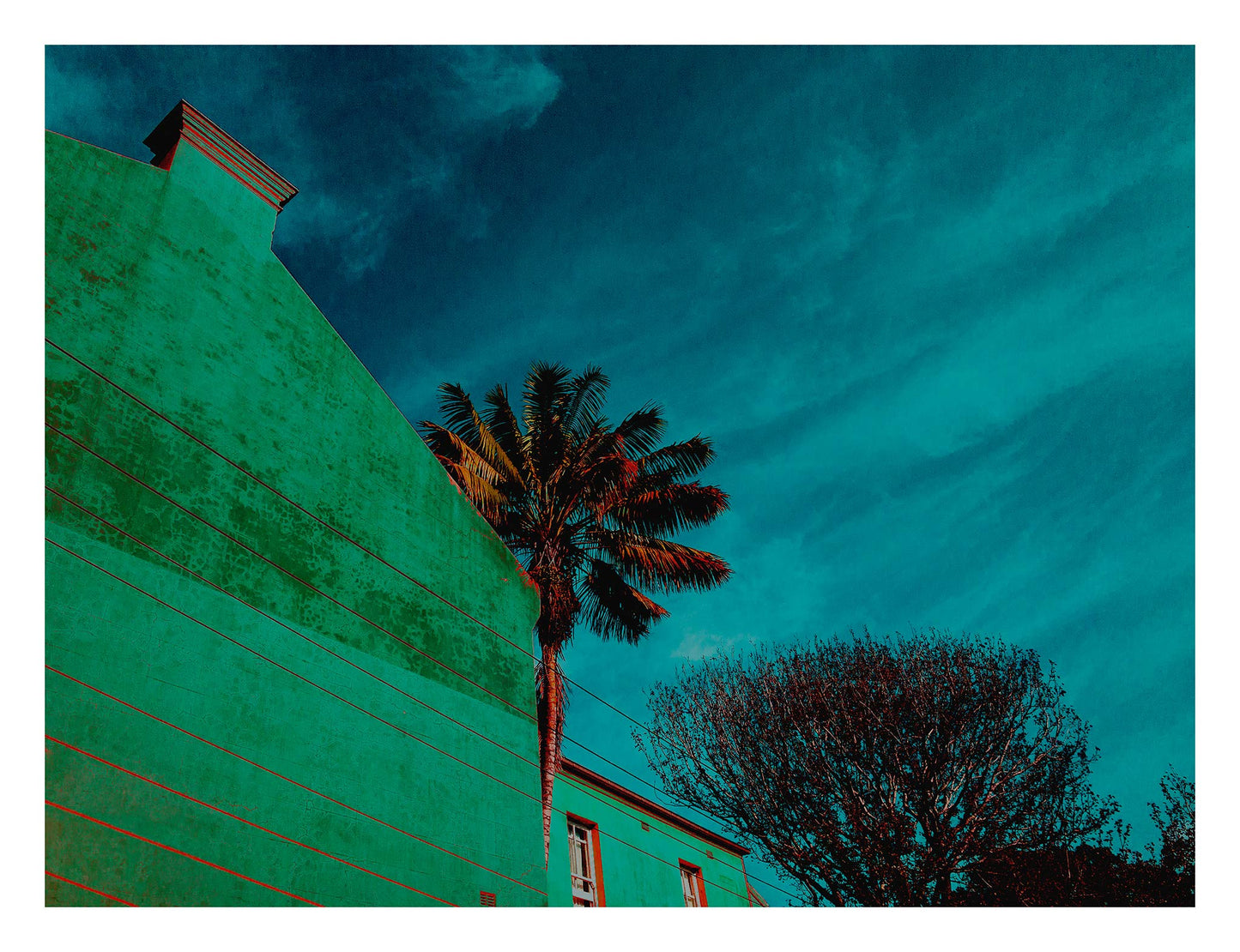 POPscape Sydney - Paddington - Palm - 8780v12 - 104x81.5cm, Stylised urban scene featuring a palm tree and leafless tree beside a flat green wall under a rich blue sky. Bold colour treatment and strong architectural lines in Pop Art style.
