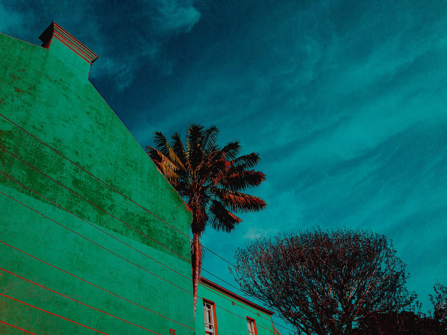 POPscape Sydney - Paddington - Palm - 8780v12 - 90x67.5cm, Stylised urban scene featuring a palm tree and leafless tree beside a flat green wall under a rich blue sky. Bold colour treatment and strong architectural lines in Pop Art style.