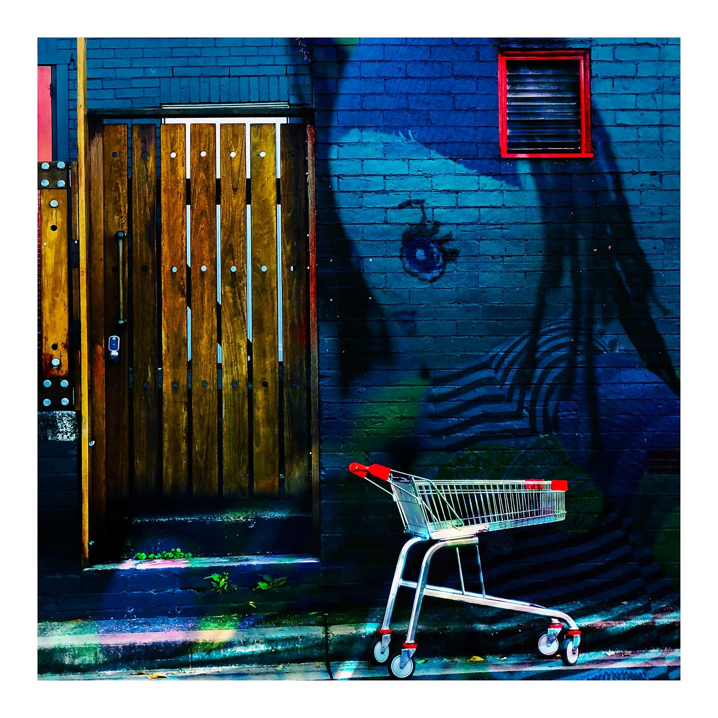 Trolley Dolly - Series No.2: 19E2255v1 - 74x74cm, a fine art photograph featuring a large painted eye and striped figure of a girl on a blue brick wall, beside a rustic timber door and a red and silver shopping trolley on a weathered street. The scene captures themes of invisibility, childhood, and urban displacement.