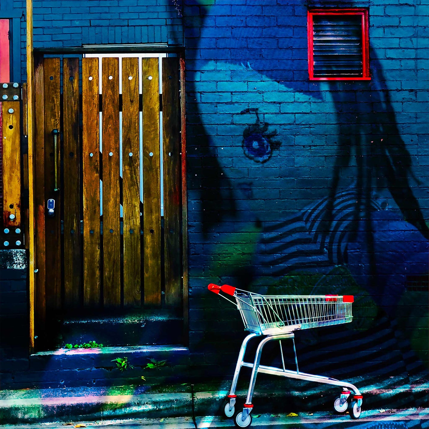 Trolley Dolly - Series No.2: 19E2255v1 - Close Detail View, a fine art photograph featuring a large painted eye and striped figure of a girl on a blue brick wall, beside a rustic timber door and a red and silver shopping trolley on a weathered street. The scene captures themes of invisibility, childhood, and urban displacement.