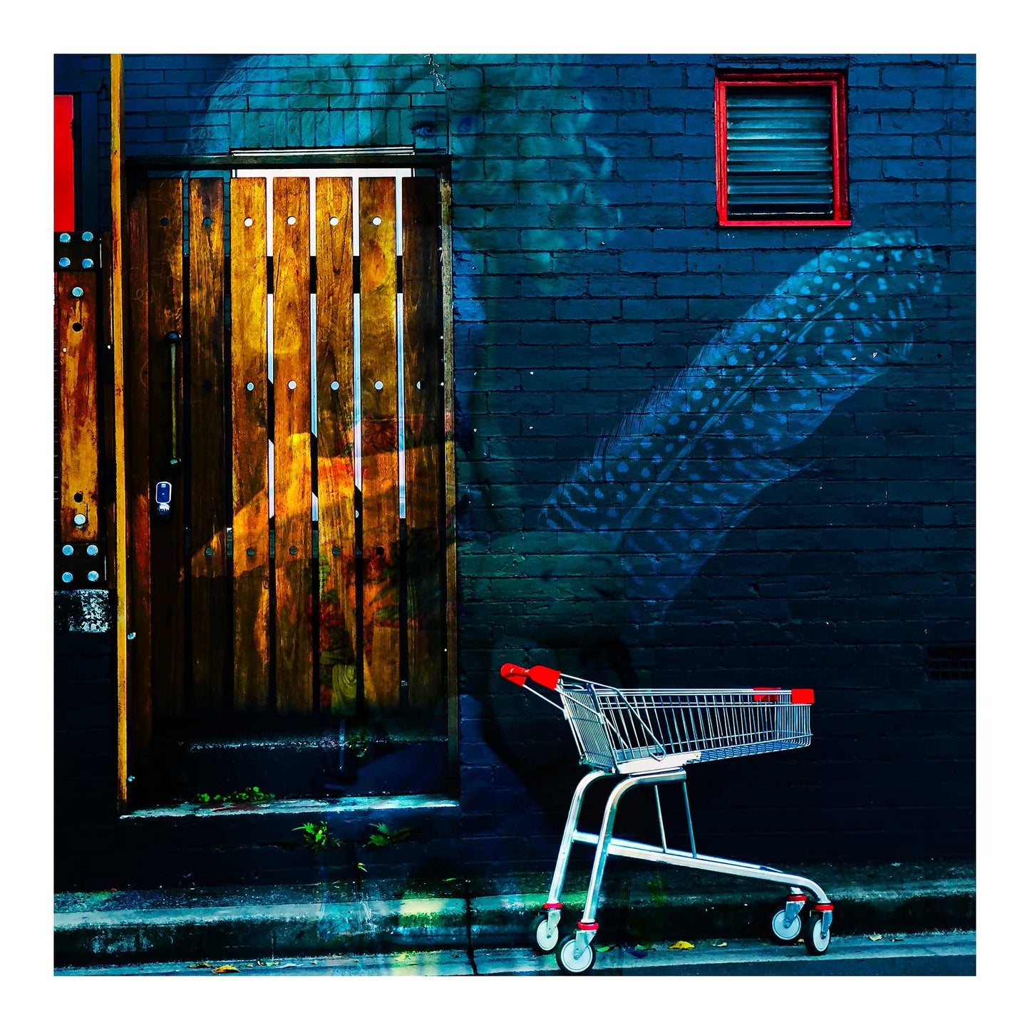 Trolley Dolly - Series No.2: 19E2255v5 - 74x74cm, a faint, translucent female figure with a speckled feather overlay appears on a dark brick wall. A red-handled shopping trolley is parked in the foreground beside a wooden door textured with market imagery. The moody, layered composition evokes themes of homelessness, memory, and unseen burdens.