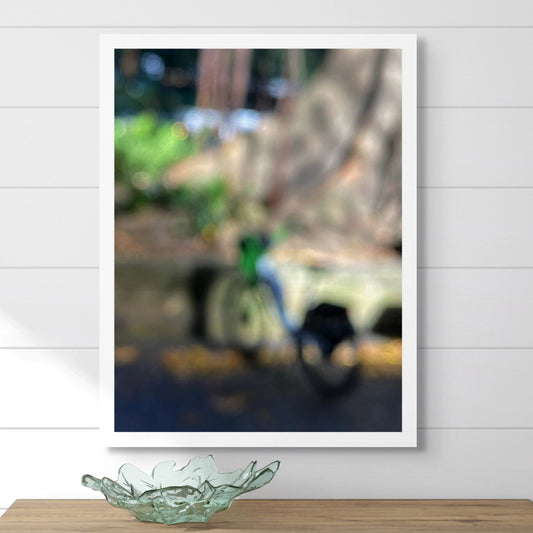 Urban Commute - Series No.1: 9963v1 - Room View, a soft focus image of a green and blue commuter bike leaning beside a Morton Bay Fig in dappled light. Abstracted tree trunks and bokeh foliage fill the blurred background. Limited edition fine art print by Raymond Mather.