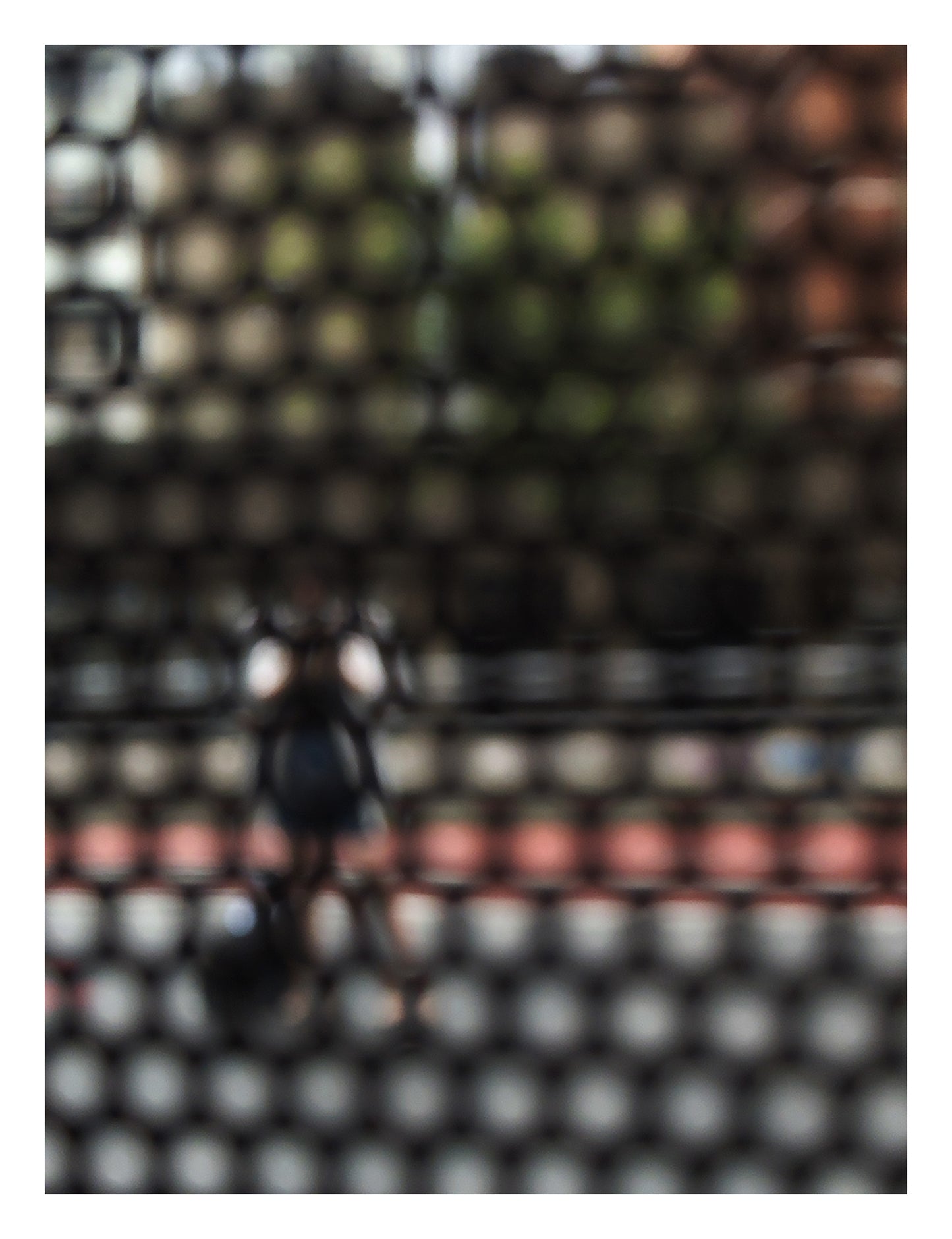 Urban Commute - Series No.2: 9568 - 81.5x104cm, fine art photograph by Raymond Mather featuring a blurred, solitary pedestrian viewed through a patterned screen. Muted tones and soft outlines evoke warmth, introspection, and urban stillness