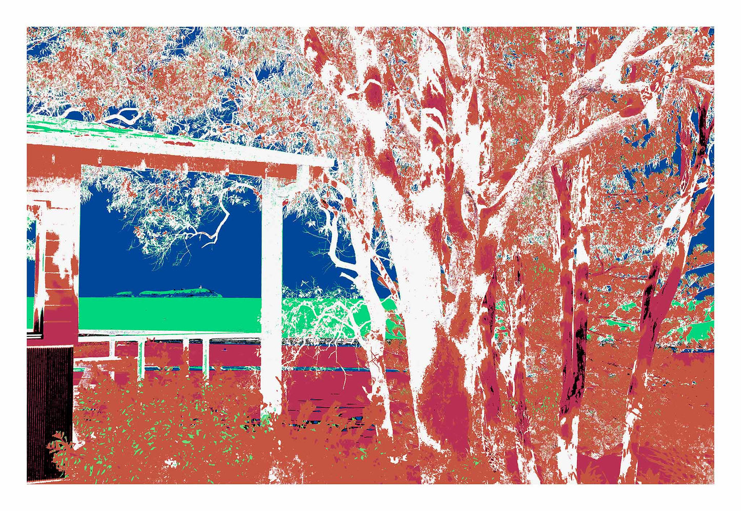 Vivid Country - Moonee Beach View to Split Solitary Island - 9881v5a - 104x74cm, a vibrant composition showing eucalypt trees and a weathered shelter framing a distant view of Split Solitary Island under bold blue sky and aqua sea.