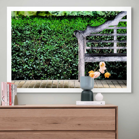 Vivid Country - Tamworth Garden Seat - 4749v29 - Room View, a fine art Pop Art-style photograph of a weathered timber garden bench partially framed against a dense green hedge. The image evokes simplicity, symmetry, and quiet reflection in a curated natural space.