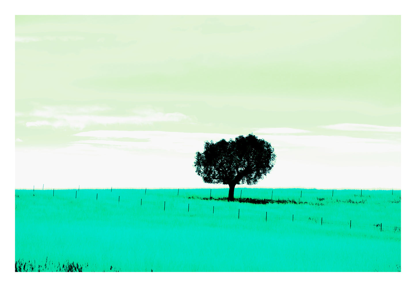 Vivid Country - Tamworth Moore Creek - 2853v209a - 104x74cm, a lone tree stands in a vast green field under a pale mint sky, framed by evenly spaced fence posts. A minimalist Pop Art style landscape evoking stillness, solitude, and connection to place.