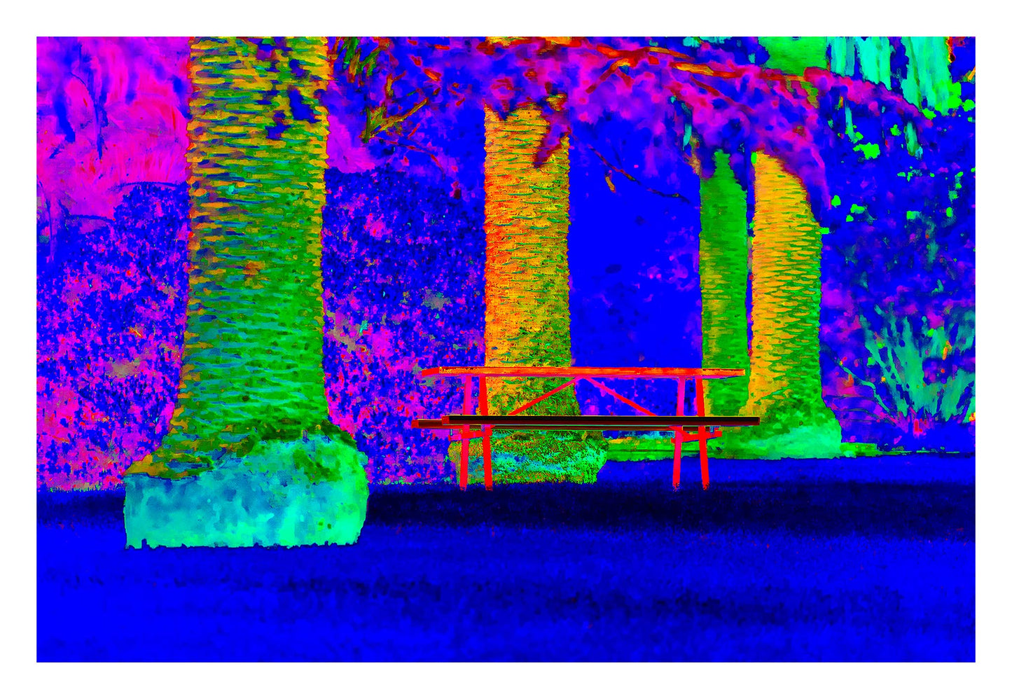 Vivid Country - Tamworth Park Bench Palms - 4820v68a - 104x74cm, a vivid Pop Art style print of a red park bench framed by four large palm trees, set against a lush, multicoloured backdrop in blue, green, purple, and orange. A saturated scene full of visual contrast and quiet presence.
