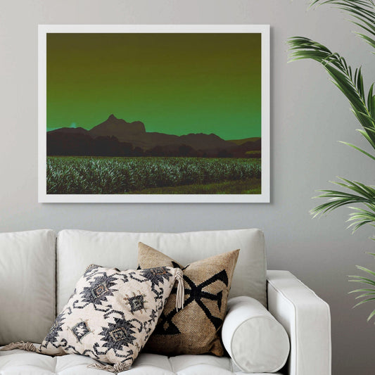 Vivid Country - Wollumbin Cane Fields Murwillumbah - 6484v1017 - Room View, a fine art print of Wollumbin seen behind a dense sugarcane field outside Murwillumbah. Rendered in deep greens and earthy tones, this Pop Art-style image captures the quiet strength of the agricultural landscape beneath the iconic mountain.