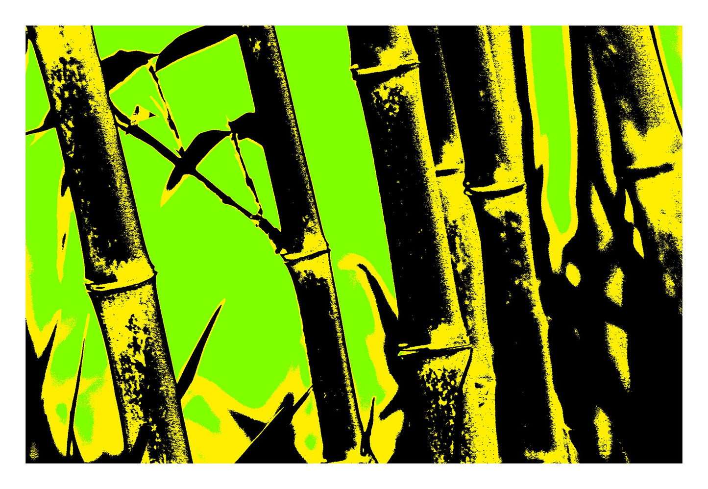 Xtra POP Set - Bamboo - 20061221-27v10 - 104x74cm, Stylised bamboo scene with bold yellow and black stalks on a vivid lime green background; graphic Pop Art treatment with minimalist, high-contrast impact
