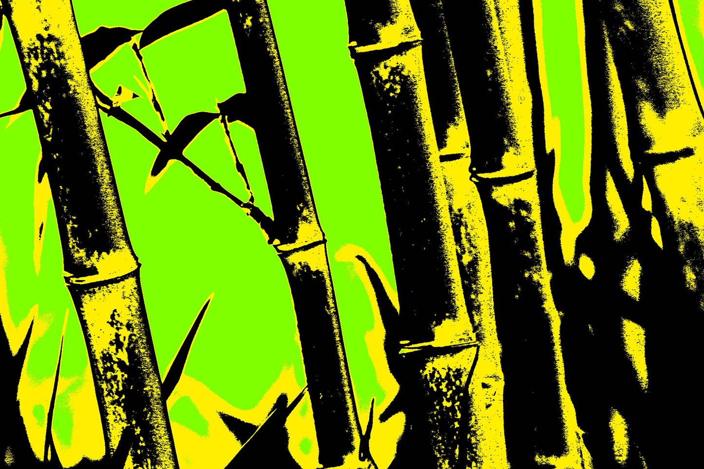 Xtra POP Set - Bamboo - 20061221-27v10 - 90x60cm, Stylised bamboo scene with bold yellow and black stalks on a vivid lime green background; graphic Pop Art treatment with minimalist, high-contrast impact.