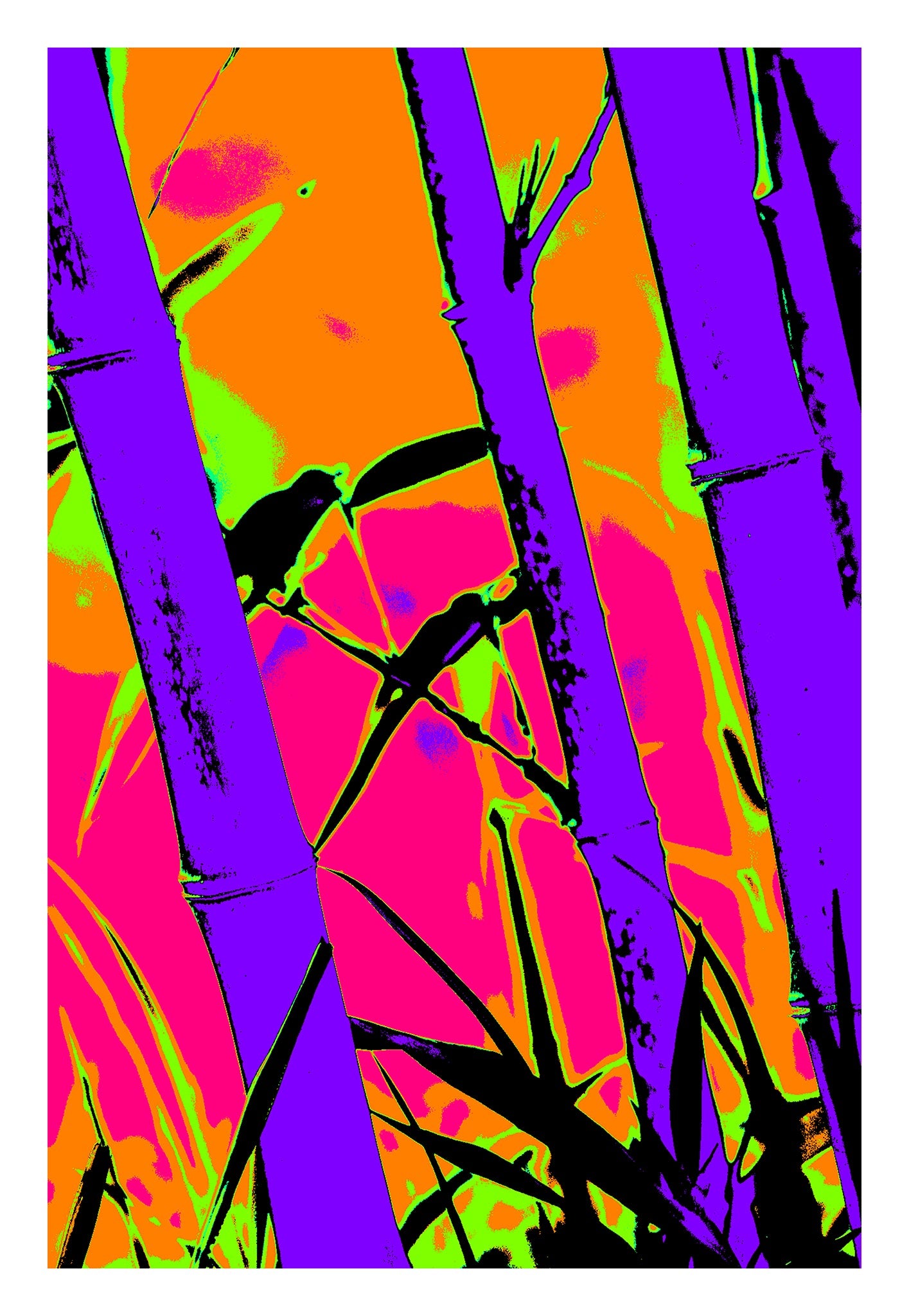 Xtra POP Set - Bamboo - 20070104-102v2 - 74x104cm, Stylised bamboo image with violet stalks, pink and orange background, green highlights, and black silhouetted birds; bold Pop Art remix with psychedelic tones and graphic impact.