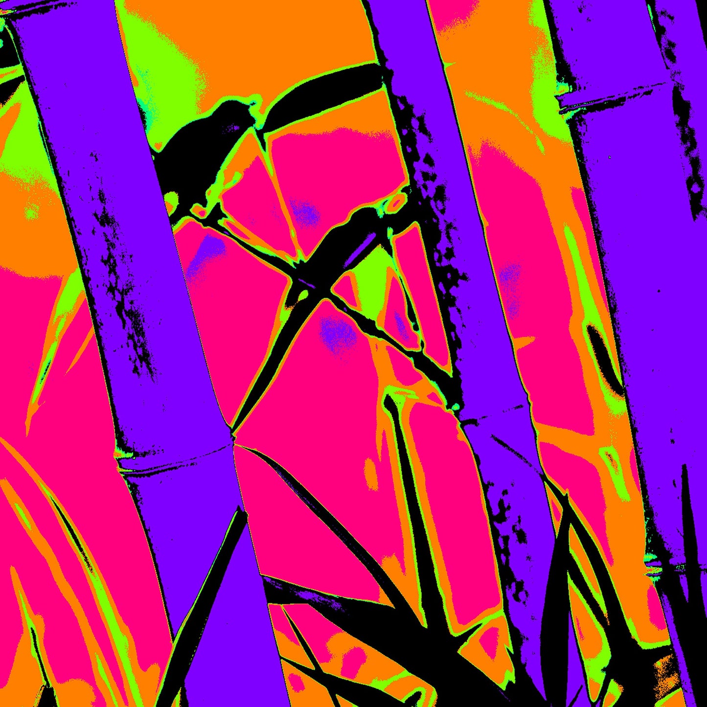 Xtra POP Set - Bamboo - 20070104-102v2 - Close Detail View, Stylised bamboo image with violet stalks, pink and orange background, green highlights, and black silhouetted birds; bold Pop Art remix with psychedelic tones and graphic impact.