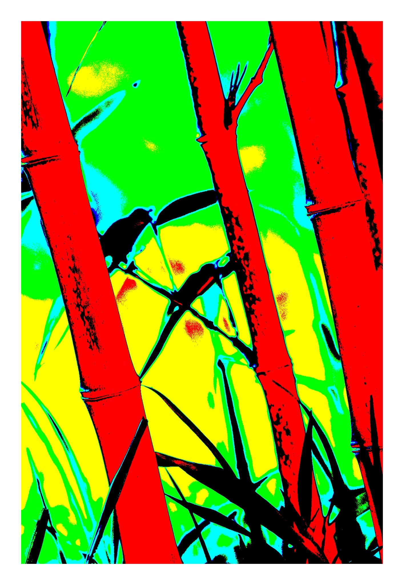 Xtra POP Set - Bamboo - 20070104-102v3 - 74x104cm, Stylised bamboo scene with intense red stalks, vibrant yellow-green background, and two silhouetted birds; bold Pop Art reinterpretation with graphic clarity and high visual impact.