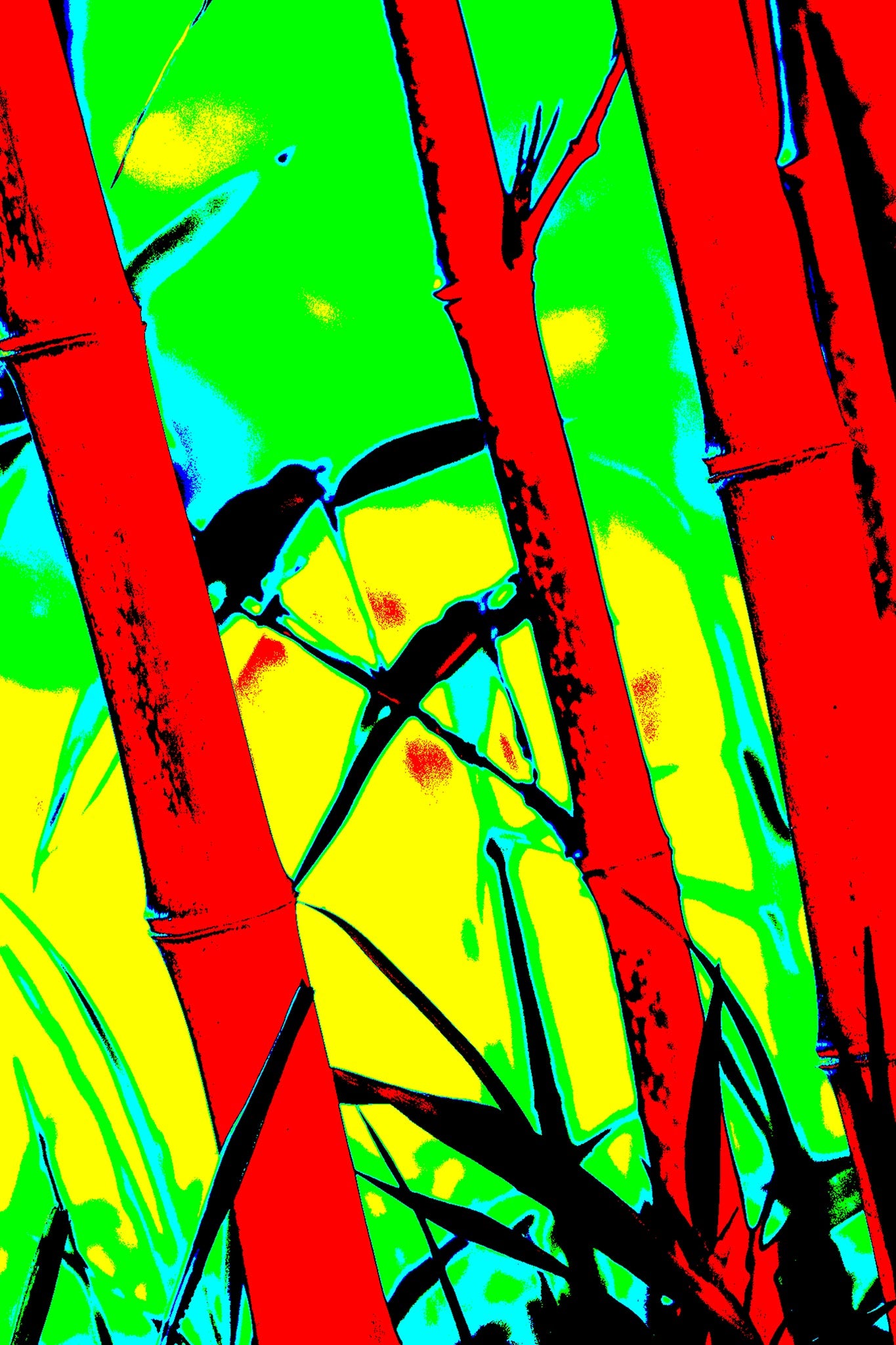 Xtra POP Set - Bamboo - 20070104-102v3 - 60x90cm, Stylised bamboo scene with intense red stalks, vibrant yellow-green background, and two silhouetted birds; bold Pop Art reinterpretation with graphic clarity and high visual impact.