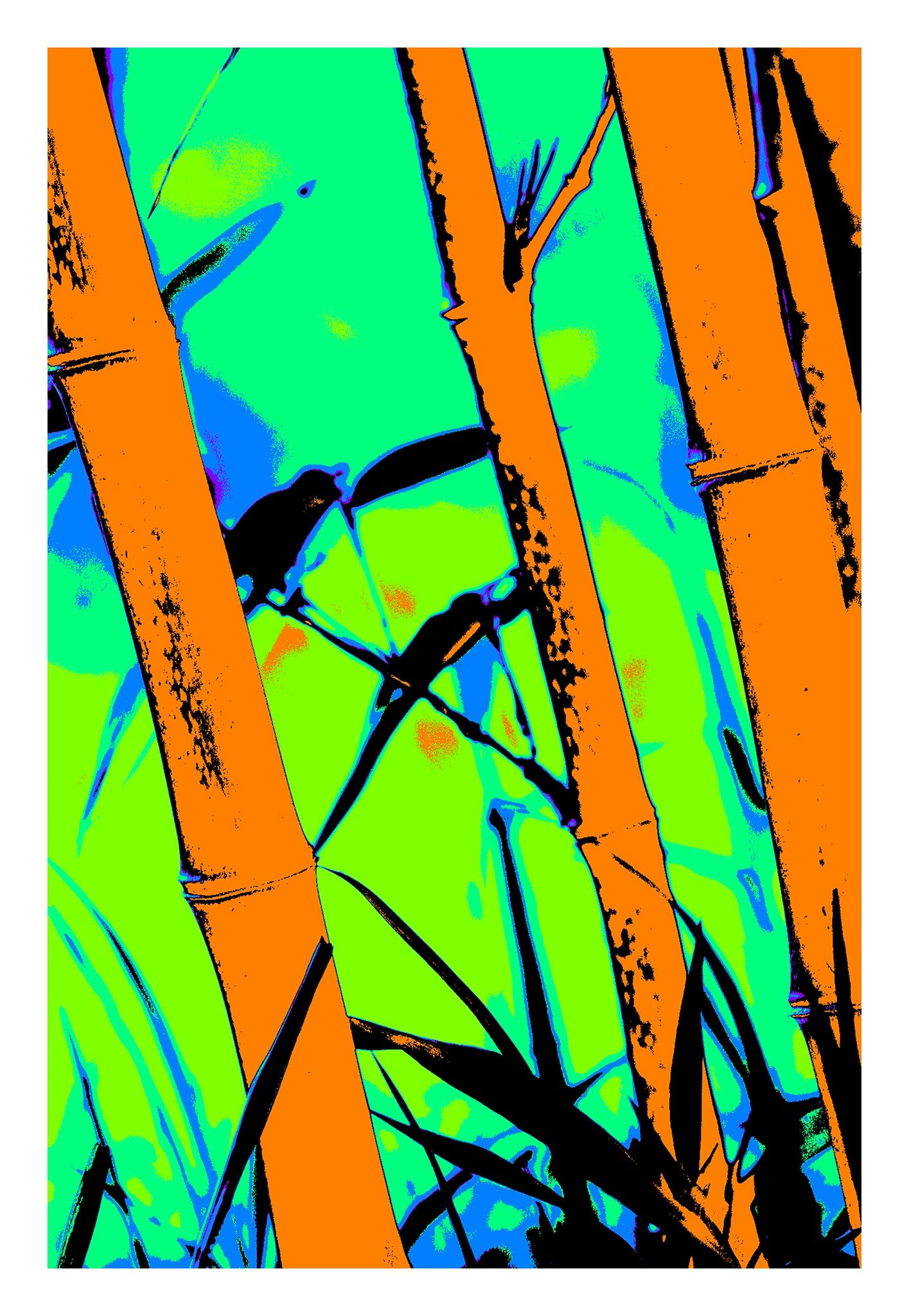 Xtra POP Set - Bamboo - 20070104-102v4 - 74x104cm, Stylised bamboo scene with vivid orange stalks, bright green background, and two silhouetted birds; minimalist Pop Art aesthetic with bold colour and contrast.