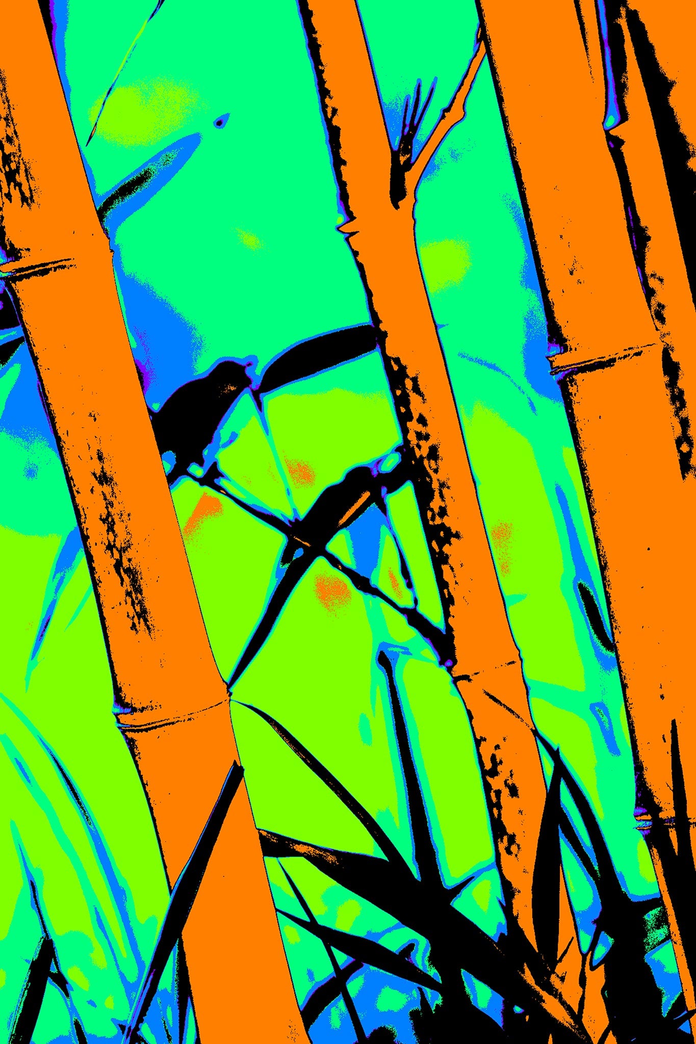 Xtra POP Set - Bamboo - 20070104-102v4 - 60x90cm, Stylised bamboo scene with vivid orange stalks, bright green background, and two silhouetted birds; minimalist Pop Art aesthetic with bold colour and contrast.