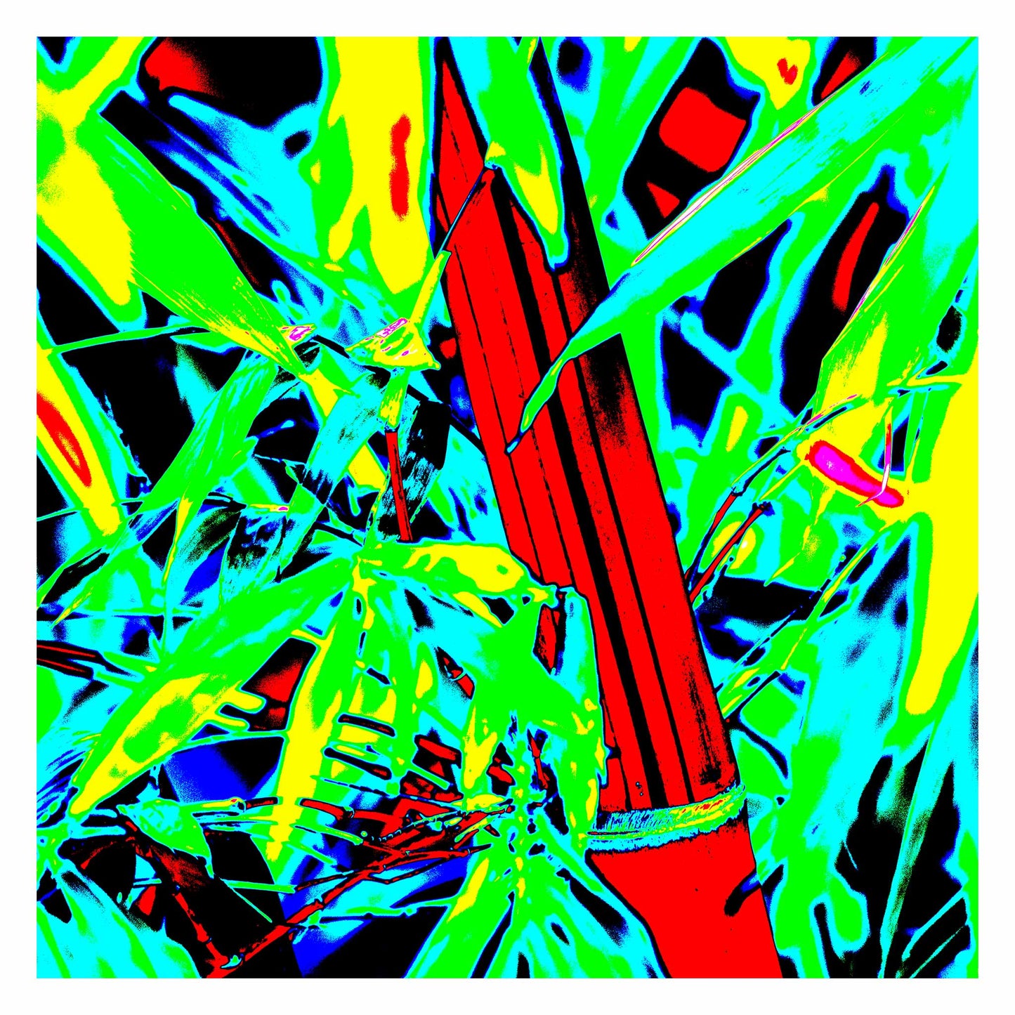Xtra POP Set - Bamboo - 36904830v4 - 104x104cm, Bamboo artwork in vivid Pop Art style with red stalk, neon green foliage, and cyan-yellow accents; high-contrast digital remix of a tropical scene.