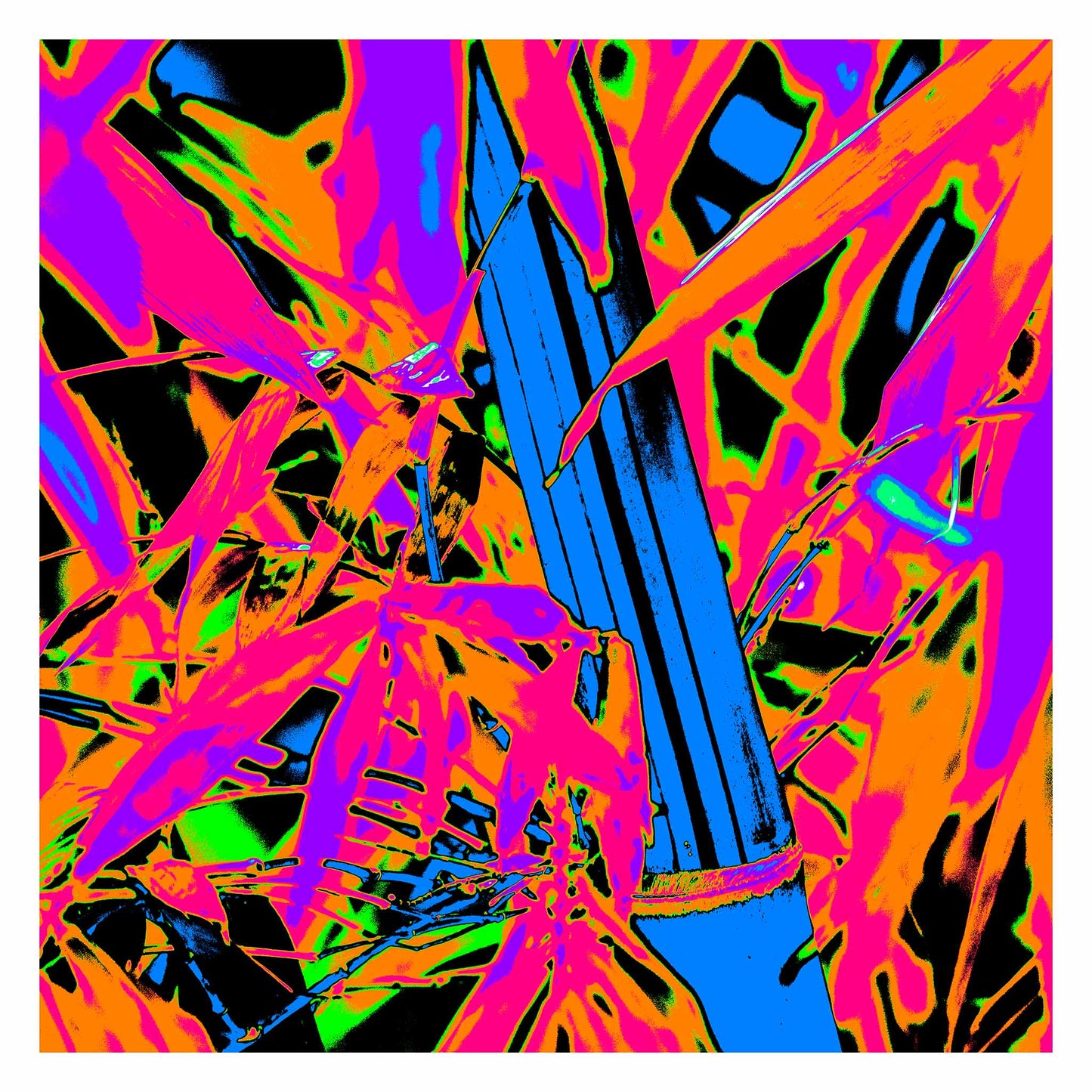 Xtra POP Set - Bamboo - 36904830v6 - 104x104cm, Pop Art bamboo with vivid electric blue stalk, hot pink foliage, and fiery orange-green background; a high-contrast abstract composition bursting with neon intensity.