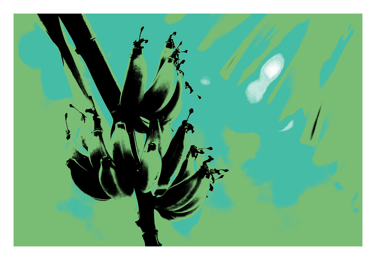 Xtra POP Set - Bananas - Swans Rd - 143464v5 - 104x74cm, Stylised black banana silhouette over a green and turquoise screen print-style background, with soft retro hues.