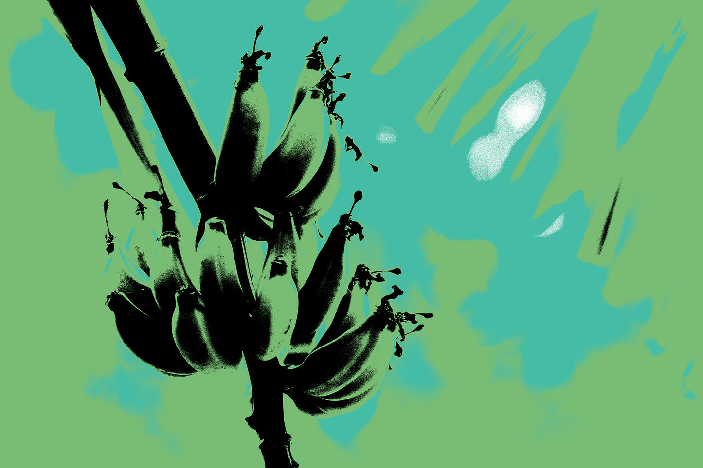 Xtra POP Set - Bananas - Swans Rd - 143464v5 - 90x60cm, Stylised black banana silhouette over a green and turquoise screen print-style background, with soft retro hues.