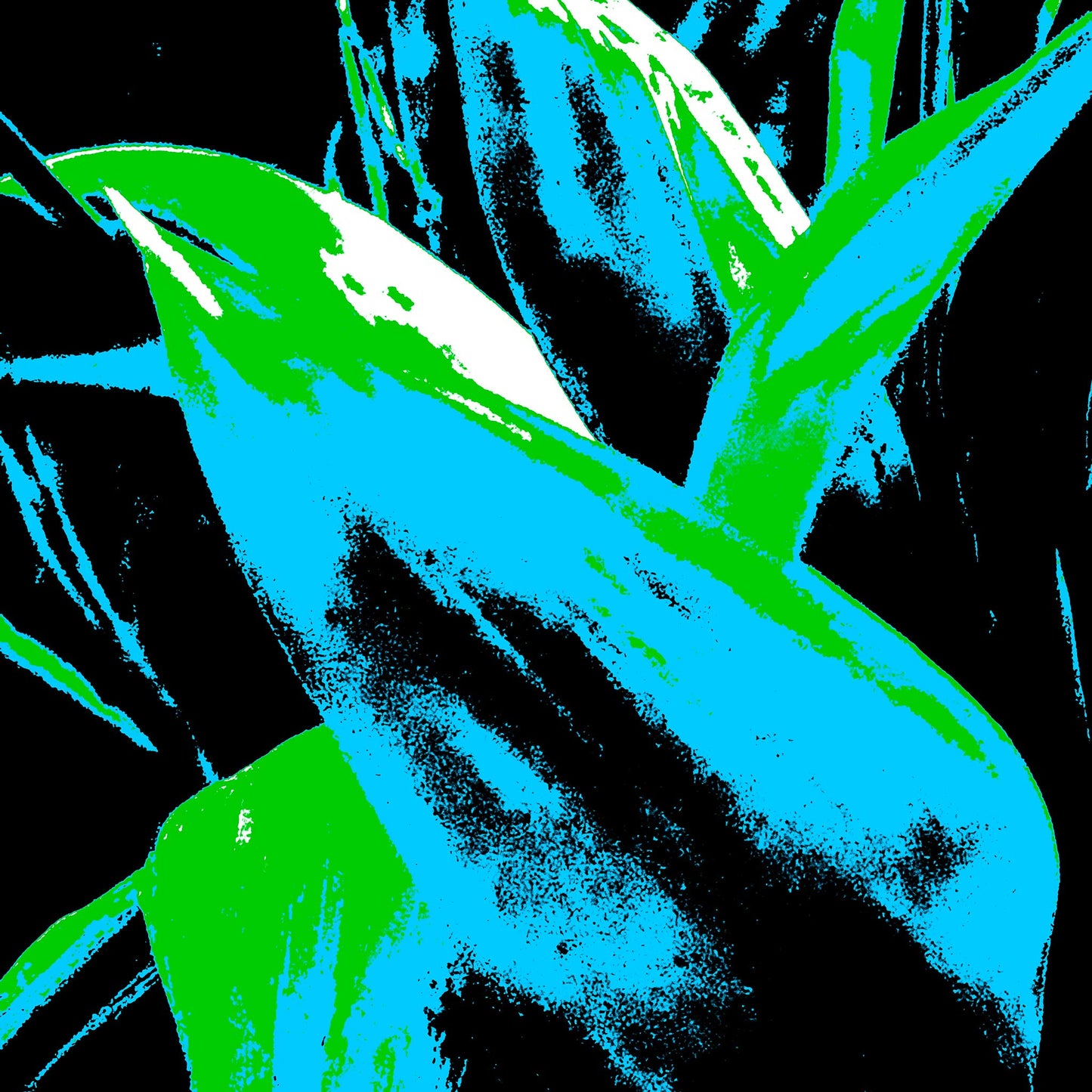 Xtra POP Set - Bird of Paradise - 185937v13 - Close Detail View, Striking cyan and green tropical leaves in bold silhouette against deep black, rendered in high-impact Pop Art style.