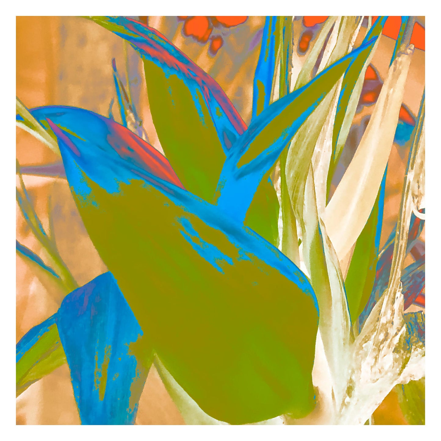 Xtra POP Set - Bird of Paradise - 185937v2 - 104x104cm, Stylised green and blue tropical plant with red accents and sandy background, in a vibrant pop art palette.
