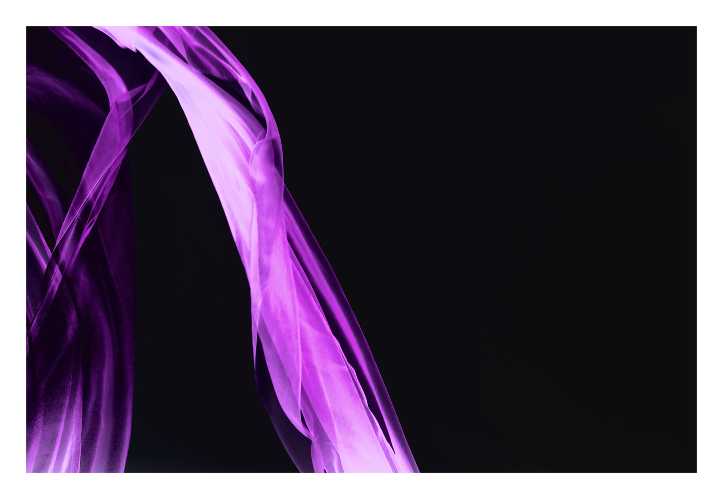 Xtra POP Set - Fabric Flow - Purple - 1936900122v40 - 104x74cm, Abstract purple sheer fabric curves across black background. Fluid motion and minimal elegance. Limited edition fine art print.