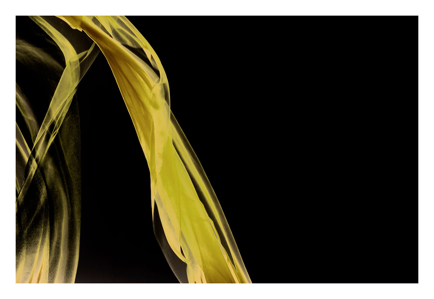 Xtra POP Set - Fabric Flow - Yellow - 1936900122v56 - 104x74cm, Flowing yellow fabric sweeps across a black background in this limited edition fine art print.