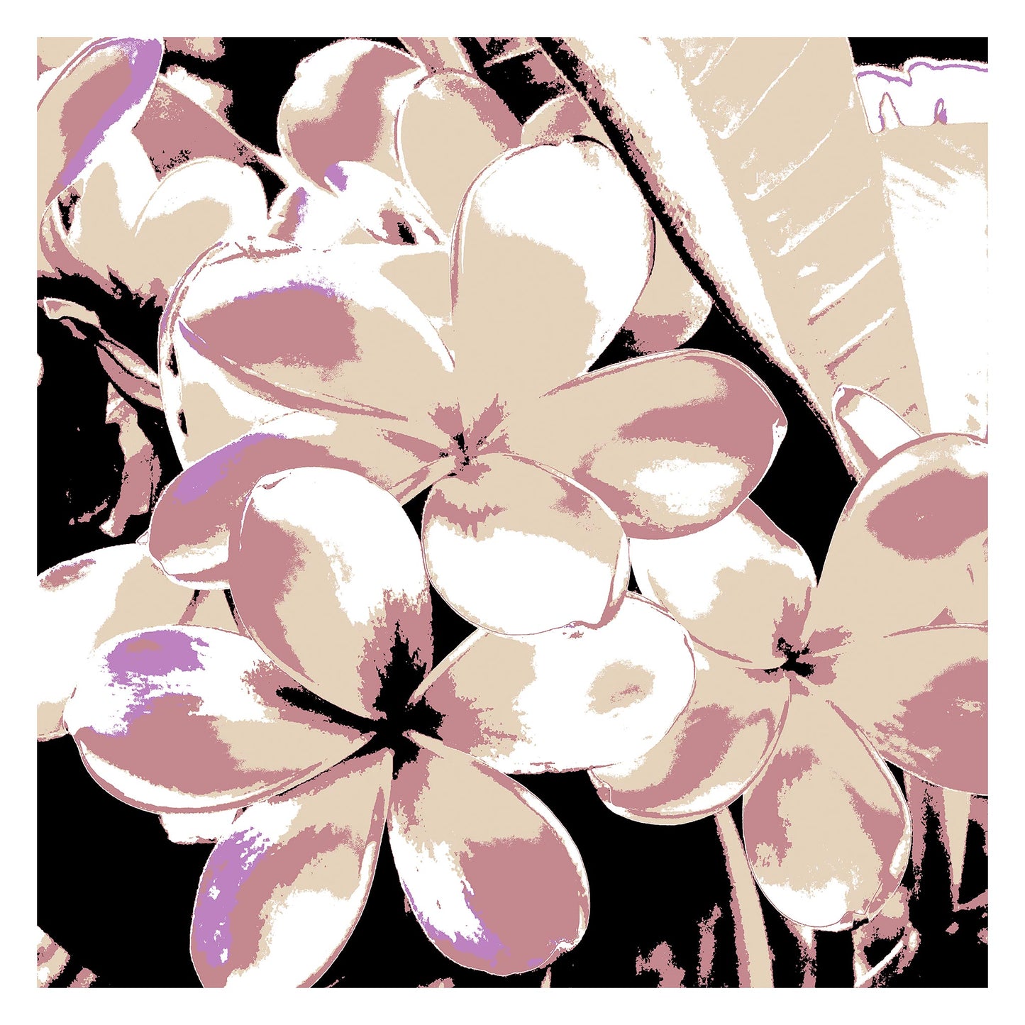 Xtra POP Set - Frangipani Cluster - 185892v27 - 104x104cm, Delicate stylised frangipani cluster in soft blush, ivory, and lilac tones, evoking vintage botanical charm with a refined Pop Art aesthetic.