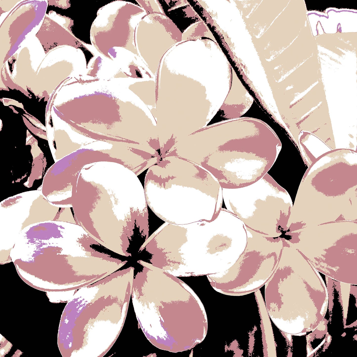 Xtra POP Set - Frangipani Cluster - 185892v27 - 90x90cm, Delicate stylised frangipani cluster in soft blush, ivory, and lilac tones, evoking vintage botanical charm with a refined Pop Art aesthetic.