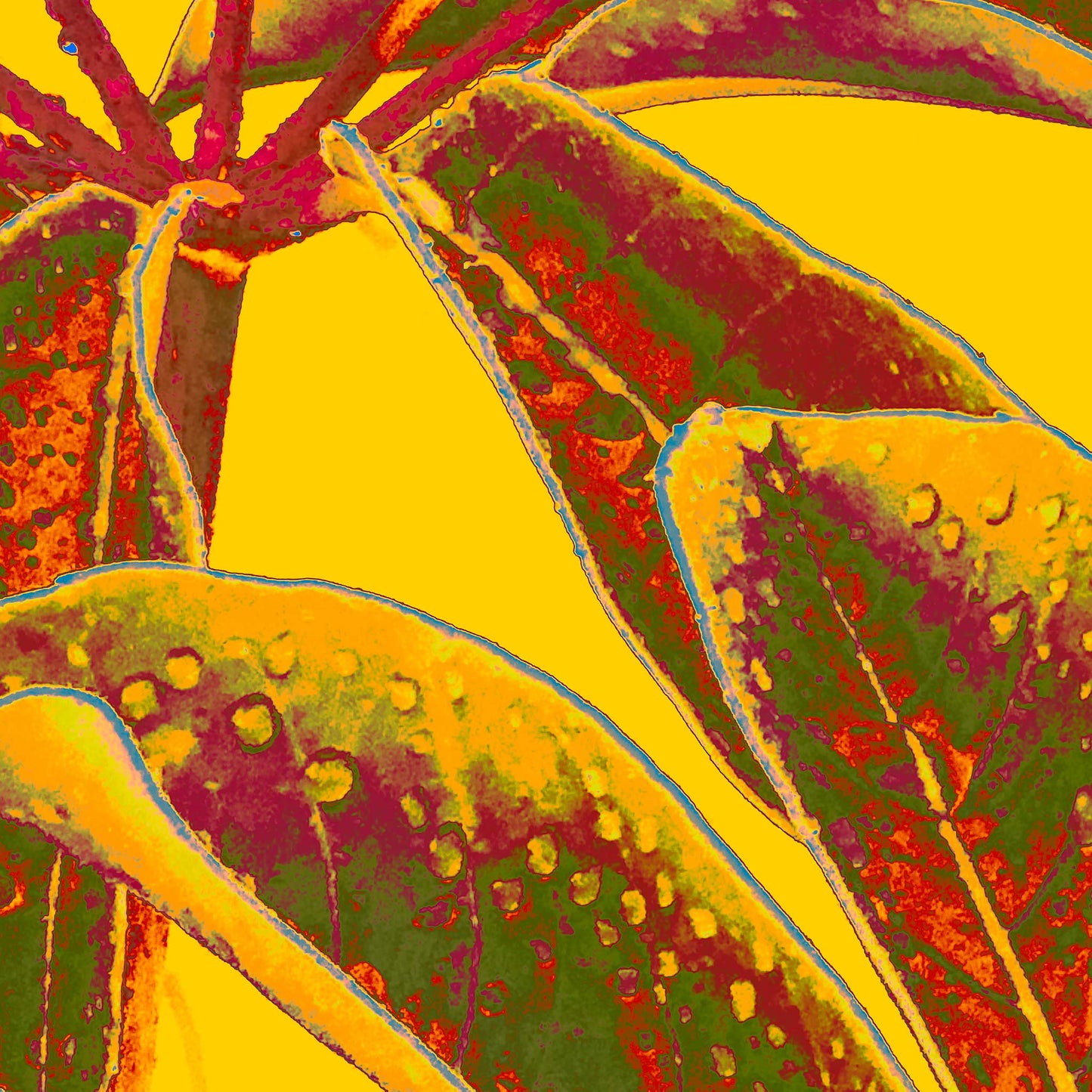 Xtra POP Set - Frangipani Leaves - 90x90cm Square (#184836v12a)