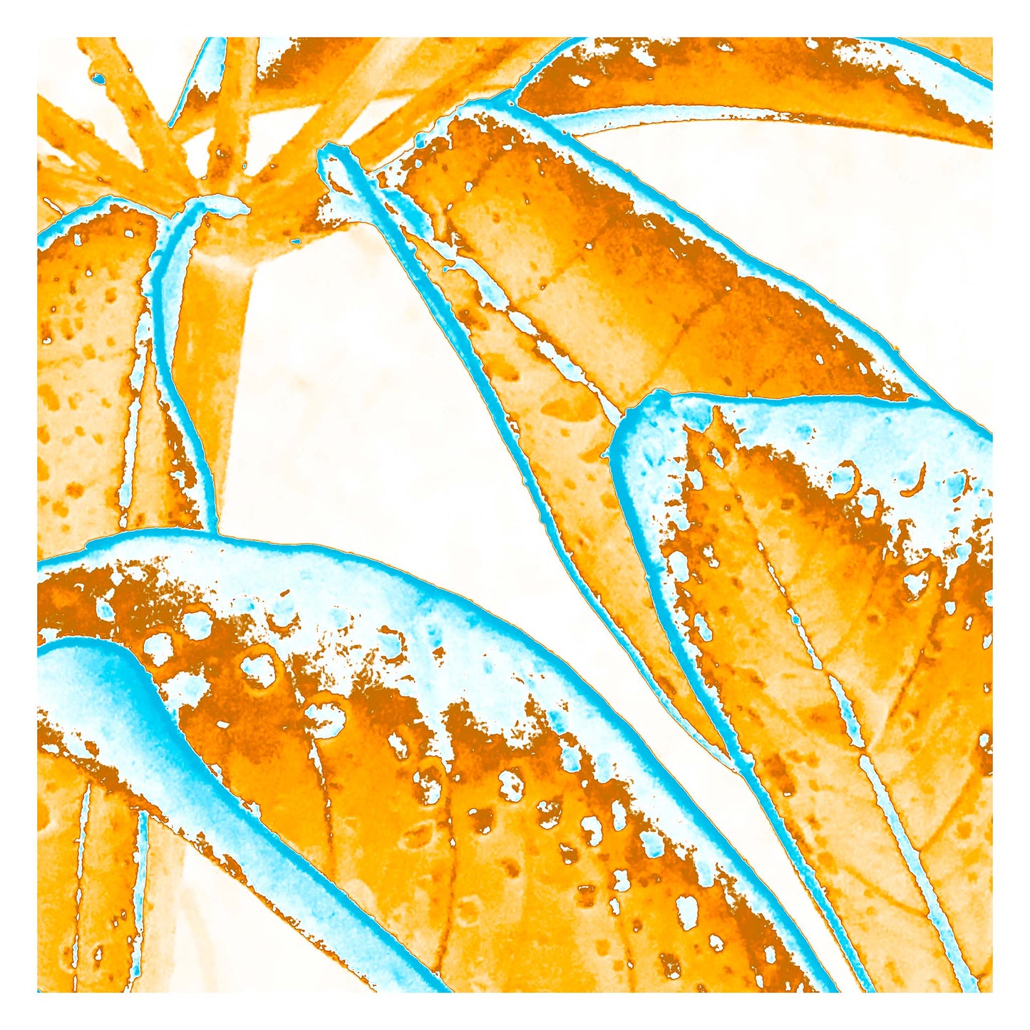 Xtra POP Set - Frangipani Leaves - 184836v6a - 104x104cm, Vibrant orange frangipani leaves edged with bright turquoise, overlaid with water droplet textures on a pale background in a graphic Pop Art style.