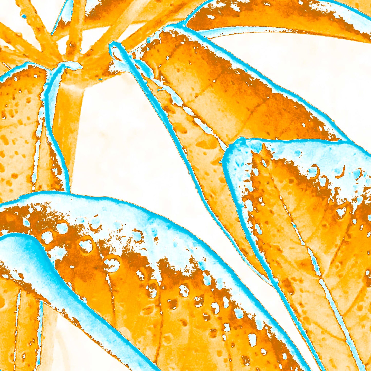 Xtra POP Set - Frangipani Leaves - 184836v6a - 90x90cm, Vibrant orange frangipani leaves edged with bright turquoise, overlaid with water droplet textures on a pale background in a graphic Pop Art style.