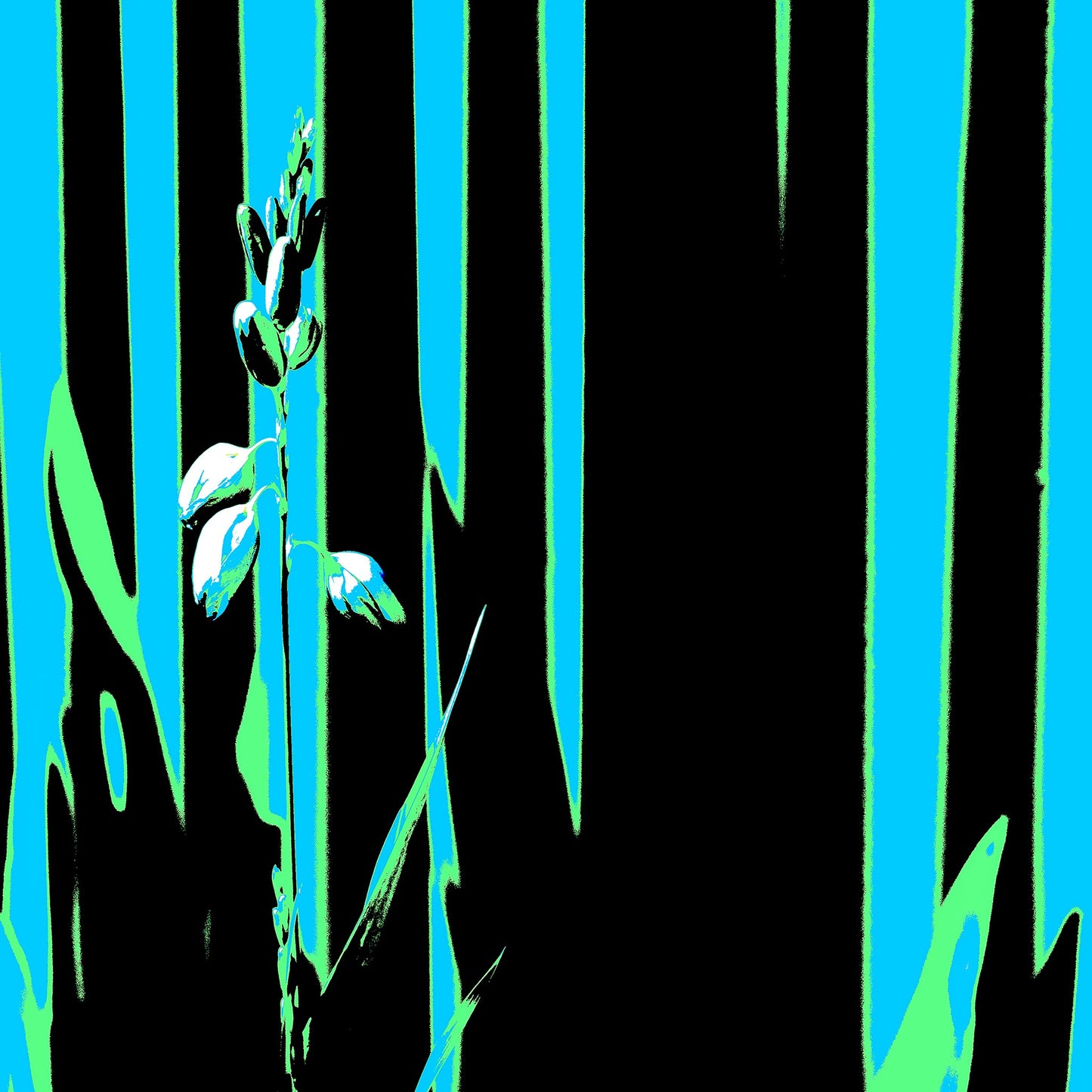Xtra POP Set - Garden Flower - 188657E5v42 - 90x90cm, Pale botanical silhouette in front of turquoise, green, and black vertical bands with bold Pop Art contrast.