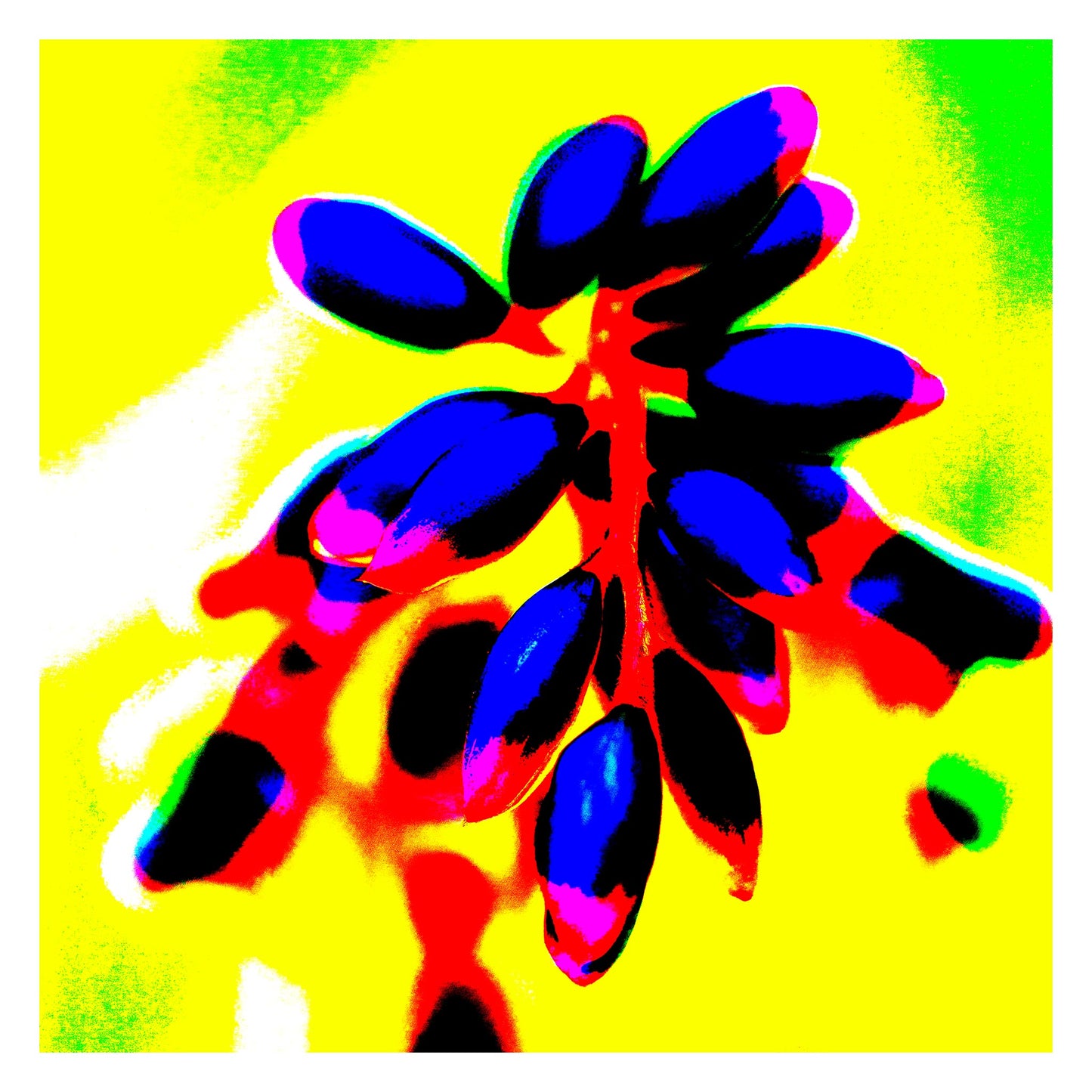 Xtra POP Set - Ginger Flower Buds - 181863v11 - 104x104cm, Intense violet buds on a bright red stem set against a luminous yellow and lime green background, with high-contrast Pop Art styling.