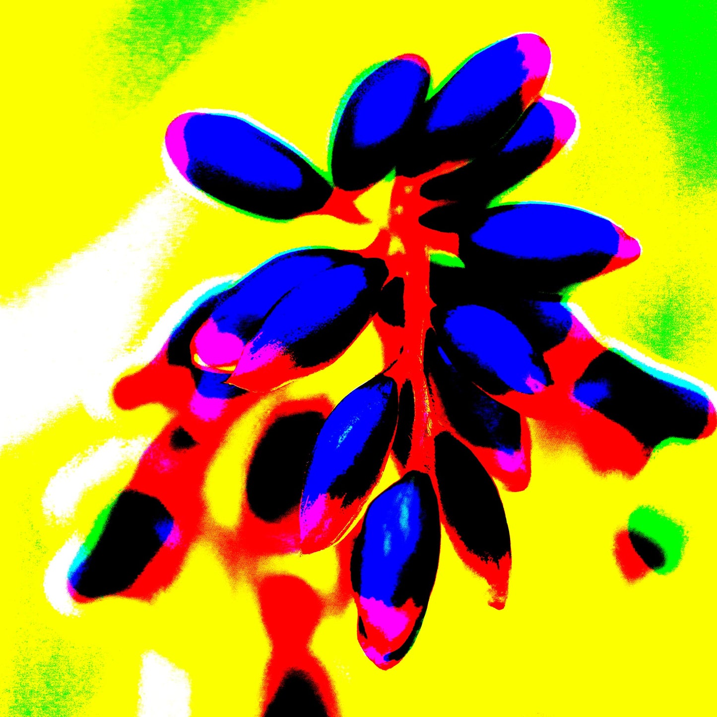 Xtra POP Set - Ginger Flower Buds - 181863v11 - 90x90cm, Intense violet buds on a bright red stem set against a luminous yellow and lime green background, with high-contrast Pop Art styling.