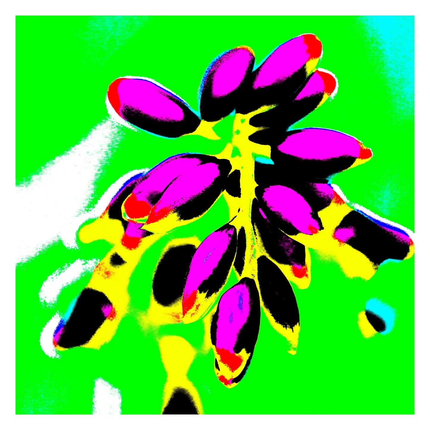 Xtra POP Set - Ginger Flower Buds - 181863v14 - 104x104cm, Magenta flower buds with golden stems on an electric green background, rendered in bold Pop Art style.
