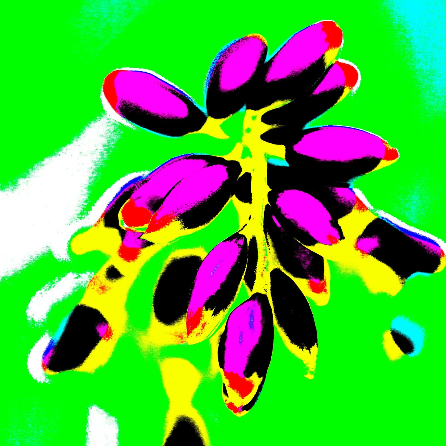 Xtra POP Set - Ginger Flower Buds - 181863v14 - 90x90cm, Magenta flower buds with golden stems on an electric green background, rendered in bold Pop Art style.